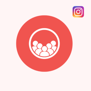 instagram standard followers