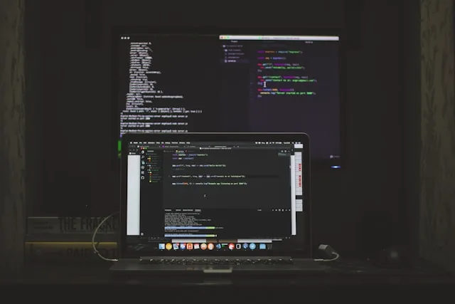 Professional Ecommerce Development Team